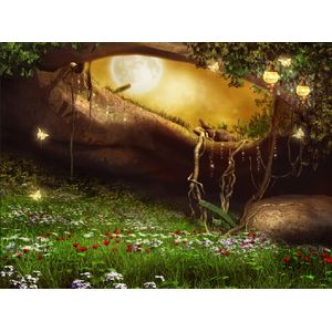 Casa si Gradina - Decoratiuni - Decoratiuni perete - Infinity.ro