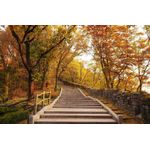 Casa si Gradina - Decoratiuni - Decoratiuni perete - Fototapet, autocolant, Trepte spre cer, 200 x 150 cm - Infinity.ro