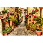 Casa si Gradina - Decoratiuni - Decoratiuni perete - Fototapet, autocolant, Strada cu flori din Spello, Umbria, 250 x 150 cm - Infinity.ro
