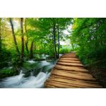 Casa si Gradina - Decoratiuni - Tapet - Fototapet, autocolant, Pod Plitvice Croatia, 250 x 150 cm - Infinity.ro