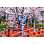 Casa si Gradina - Decoratiuni - Decoratiuni perete - Fototapet, autocolant, Podet cu ciresi infloriti, 220 x 135 cm - Infinity.ro