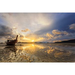 Casa si Gradina - Decoratiuni - Decoratiuni perete - Infinity.ro