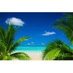 Casa si Gradina - Decoratiuni - Decoratiuni perete - Fototapet, autocolant, Plaja 32, 250 x 150 cm - Infinity.ro