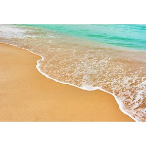 Casa si Gradina - Decoratiuni - Decoratiuni perete - Infinity.ro