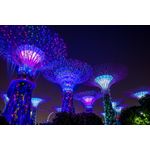 Casa si Gradina - Decoratiuni - Decoratiuni perete - Fototapet, autocolant, Parc Singapore 3, 200 x 150 cm - Infinity.ro