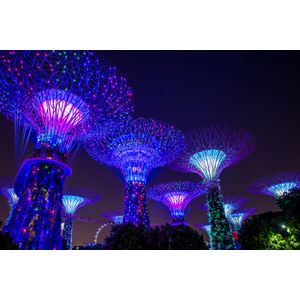 Casa si Gradina - Decoratiuni - Decoratiuni perete - Infinity.ro