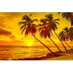 Casa si Gradina - Decoratiuni - Decoratiuni perete - Fototapet, autocolant, Palmieri in apus de soare, 250 x 150 cm - Infinity.ro