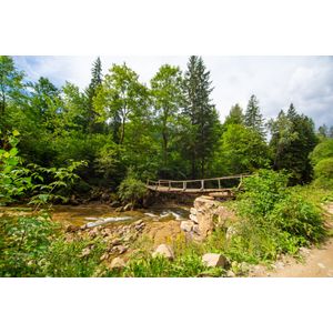 Casa si Gradina - Decoratiuni - Decoratiuni perete - Infinity.ro