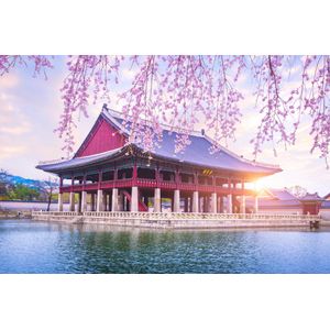 Casa si Gradina - Decoratiuni - Decoratiuni perete - Infinity.ro