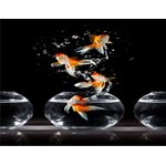 Casa si Gradina - Decoratiuni - Decoratiuni perete - Fototapet, autocolant, Compozitie 35, 200 x 150 cm - Infinity.ro