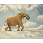 Casa si Gradina - Decoratiuni - Tapet - Fototapet, autocolant, Elefant acrobat, 300 x 200 cm - Infinity.ro