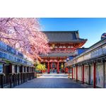 Casa si Gradina - Decoratiuni - Decoratiuni perete - Fototapet, autocolant, Flori 153 Templu japonez cu ciresi infloriti, 200 x 150 cm - Infinity.ro