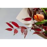 Casa si Gradina - Decoratiuni - Tapet - Fototapet, autocolant, Flori 160 Buchet cu lalea si leucadendron, 150 x 205 cm - Infinity.ro