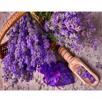 Casa si Gradina - Decoratiuni - Tapet - Fototapet, autocolant, Flori 167 Cos cu lavanda, 250 x 150 cm - Infinity.ro