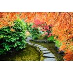 Casa si Gradina - Decoratiuni - Decoratiuni perete - Fototapet, autocolant, Gradina japoneza 2, 250 x 150 cm - Infinity.ro