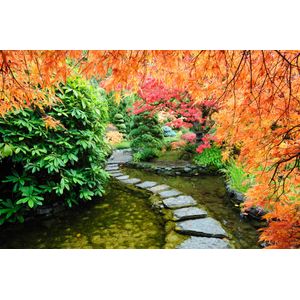 Casa si Gradina - Decoratiuni - Decoratiuni perete - Infinity.ro