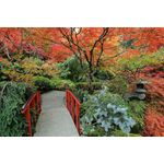 Casa si Gradina - Decoratiuni - Decoratiuni perete - Fototapet, autocolant, Gradina japoneza 3, 300 x 200 cm - Infinity.ro