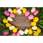 Casa si Gradina - Decoratiuni - Decoratiuni perete - Fototapet, autocolant, Flori 91, 150 x 205 cm - Infinity.ro