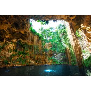 Casa si Gradina - Decoratiuni - Decoratiuni perete - Infinity.ro