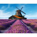 Casa si Gradina - Decoratiuni - Decoratiuni perete - Fototapet, autocolant, Lavanda 8, 300 x 200 cm - Infinity.ro