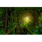 Casa si Gradina - Decoratiuni - Decoratiuni perete - Fototapet, autocolant, Lumina din jungla, 300 x 250 cm - Infinity.ro