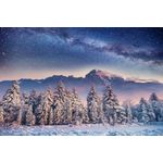 Casa si Gradina - Decoratiuni - Tapet - Fototapet, autocolant, Natura 111, 250 x 150 cm - Infinity.ro