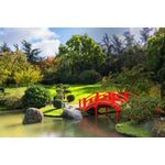 Casa si Gradina - Decoratiuni - Decoratiuni perete - Fototapet, autocolant, Natura 166 Gradina japoneza, 250 x 150 cm - Infinity.ro