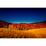 Casa si Gradina - Decoratiuni - Tapet - Fototapet, autocolant, Natura 92, 250 x 150 cm - Infinity.ro