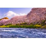Casa si Gradina - Decoratiuni - Tapet - Fototapet, autocolant, Natura 34, 200 x 150 cm - Infinity.ro