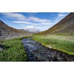 Casa si Gradina - Decoratiuni - Decoratiuni perete - Fototapet, autocolant, Natura 80, 250 x 200 cm - Infinity.ro