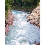 Casa si Gradina - Decoratiuni - Tapet - Fototapet, autocolant, Natura 89, 150 x 205 cm - Infinity.ro
