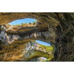 Casa si Gradina - Decoratiuni - Decoratiuni perete - Fototapet, autocolant, Natura 97, 250 x 200 cm - Infinity.ro