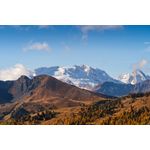 Casa si Gradina - Decoratiuni - Decoratiuni perete - Fototapet, autocolant, Natura 99, 250 x 200 cm - Infinity.ro