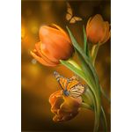 Casa si Gradina - Decoratiuni - Tablouri - Tablou canvas Lalele portocalii, buchet, 40 x 60 cm - Infinity.ro