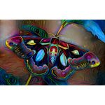 Casa si Gradina - Decoratiuni - Tablouri - Tablou canvas 90x50 cm, Animale model 176, Multicolor - Infinity.ro