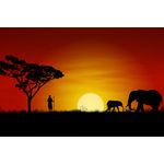 Casa si Gradina - Decoratiuni - Tablouri - Tablou canvas Africa, elefanti, apus de soare, 90 x 60 cm - Infinity.ro