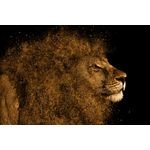 Casa si Gradina - Decoratiuni - Tablouri - Tablou canvas Animal 28, 75 x 50 cm - Infinity.ro
