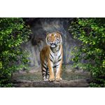 Casa si Gradina - Decoratiuni - Tablouri - Tablou canvas Animal 3, 105 x 70 cm - Infinity.ro