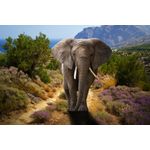 Casa si Gradina - Decoratiuni - Tablouri - Tablou canvas Elefant african, tufe cu flori, 60 x 40 cm - Infinity.ro