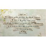 Market - Cadouri - Cadouri personalizate - Scrisoare cadou pentru iubita - puzzle in mini-borcan decorat manual - model 1 - Infinity.ro