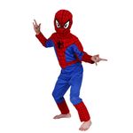 Casa si Gradina/Decoratiuni/Decoratiuni petrecere/Masti si costume carnaval - Costum Spiderman pentru copii marime L pentru 7 - 9 ani - Infinity.ro