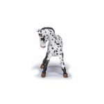 Jucarii, Copii si Bebe - Jucarii si jocuri - Figurine - Papo figurina manz appaloosa negru - Infinity.ro