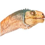 Jucarii, Copii si Bebe - Jucarii si jocuri - Figurine - Papo figurina dinozaur chilesaUrus - Infinity.ro