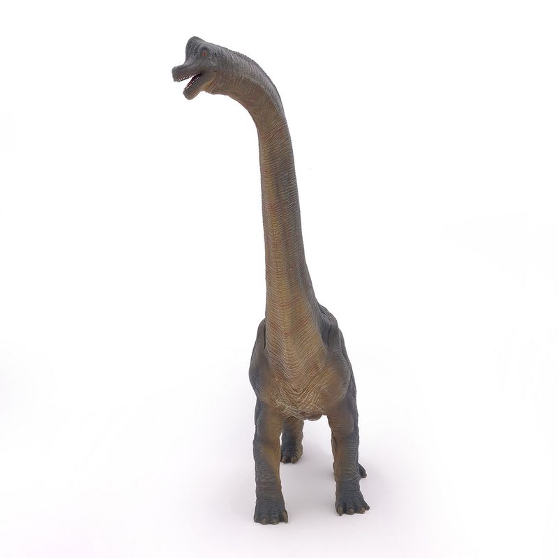 Jucarii, Copii si Bebe - Jucarii si jocuri - Figurine - Papo figurina dinozaur brachiosaUrus - Infinity.ro