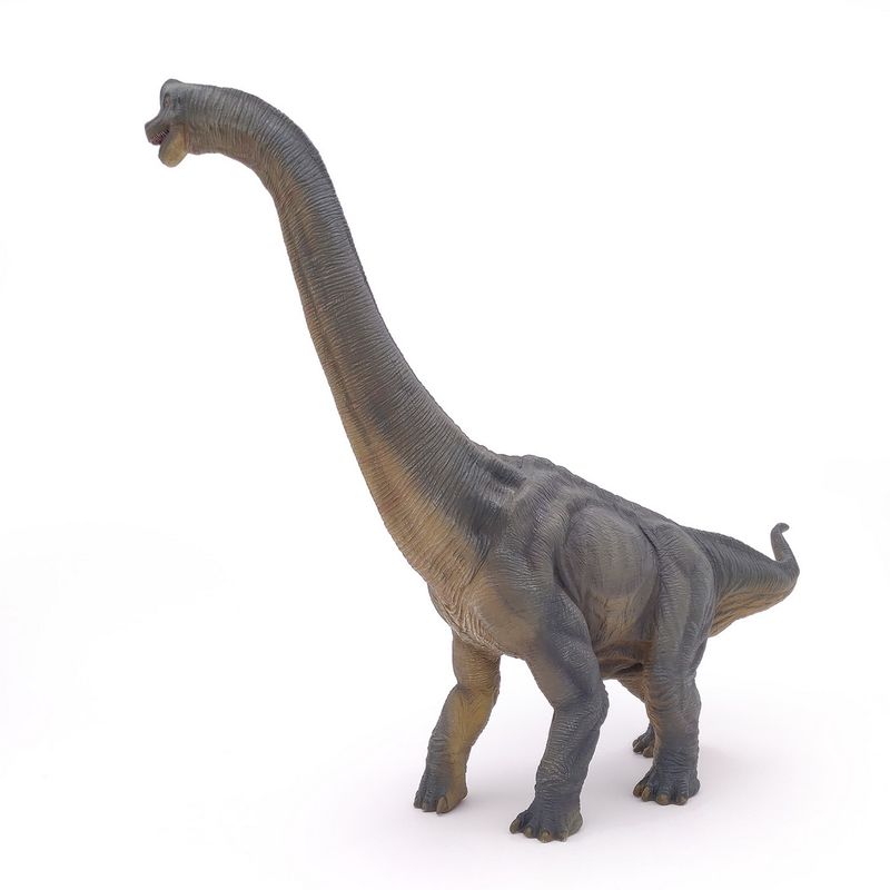 Jucarii, Copii si Bebe - Jucarii si jocuri - Figurine - Papo figurina dinozaur brachiosaUrus - Infinity.ro