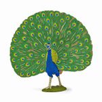 Jucarii, Copii si Bebe - Jucarii si jocuri - Figurine - Papo figurina paun - Infinity.ro