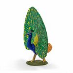 Jucarii, Copii si Bebe - Jucarii si jocuri - Figurine - Papo figurina paun - Infinity.ro