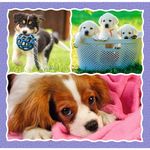 Jucarii, Copii si Bebe - Jucarii si jocuri - Jocuri si puzzle - Puzzle - Puzzle Trefl 3 in 1 catelusii adorabili - Infinity.ro