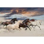 Casa si Gradina - Decoratiuni - Tablouri - Tablou canvas Cai, galop, desert, apus de soare, 75 x 50 cm - Infinity.ro