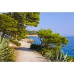 Casa si Gradina - Decoratiuni - Tablouri - Tablou canvas Carare, mare, pini, 90 x 60 cm - Infinity.ro